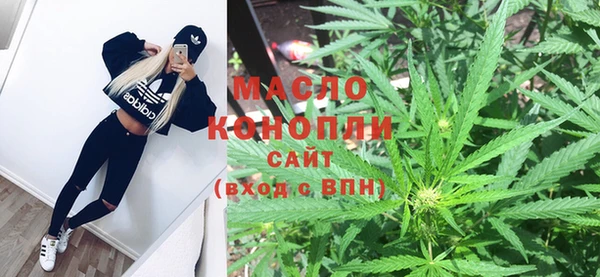 винт Лагань