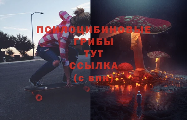 винт Лагань