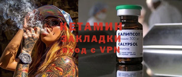 винт Лагань